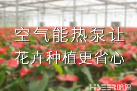 空氣能熱泵讓花卉種植更省心，優(yōu)品率可達(dá)90%以上